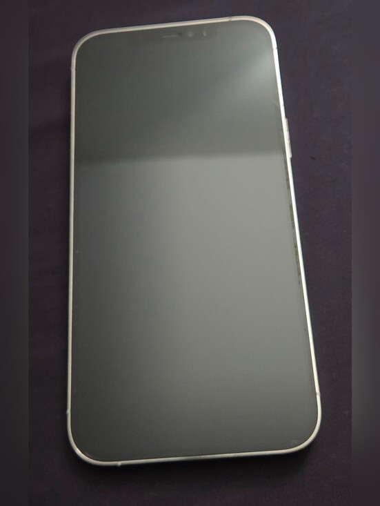 Apple Other - iPhone 12 Pro Max